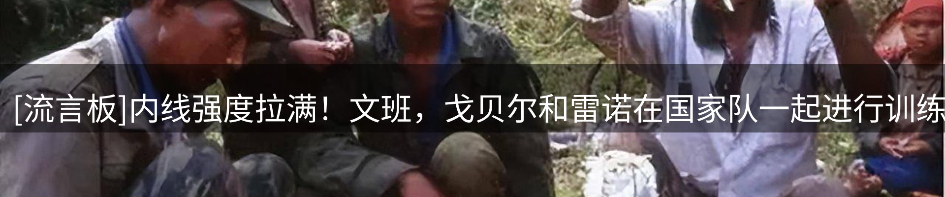 最新动态
